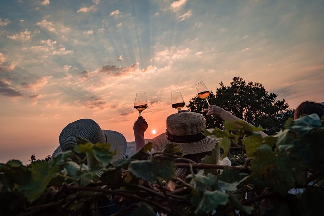 Sunset wine tasting in vineyard - Meeting Ivica and Domininka: a family vineyard you can talk to