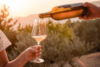 Sunset wine tasting in vineyard - Pickup, private group size, and how the 3-hour evening moves