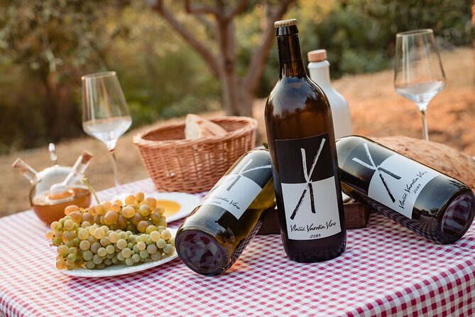 Sunset wine tasting in vineyard - Tasting in the vines: olive oil, home bread, craft wines, and liqueurs