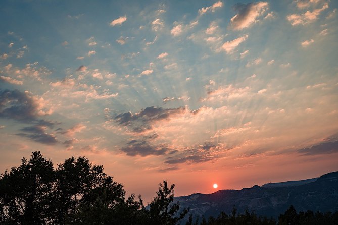 Sunset wine tasting in vineyard - Price and value: what $96.55 buys in the real world