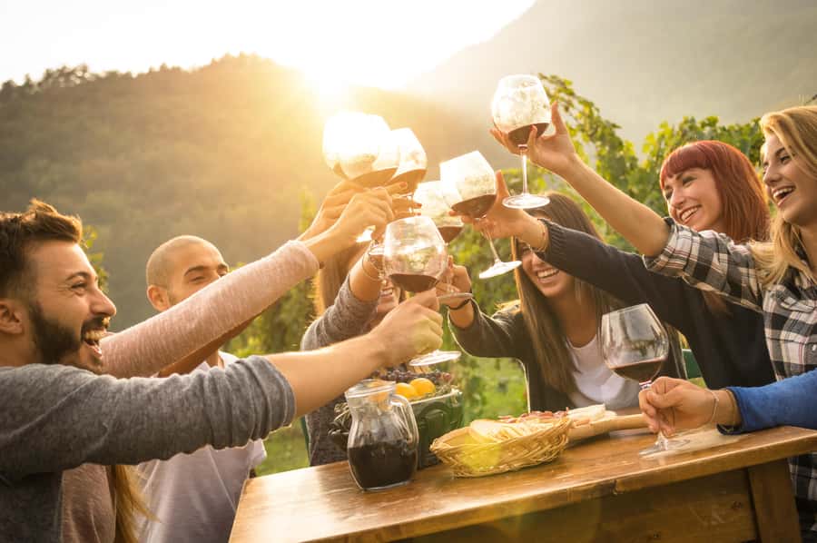 Swan Valley Full-Day Winery Experience with Lunch from Perth - Key highlights that make this Swan Valley day tick
