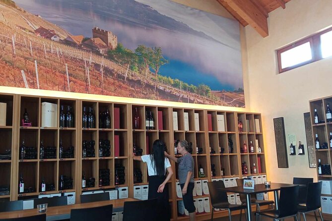 Swiss Vineyard Wine Tasting Tour in Vaud - Small-group pace, comfort, and what a full day feels like