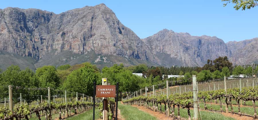 Table Mountain & Constantia Wine Estate Private Combo Tour - Entering Cape Town’s Wine Route the Practical Way