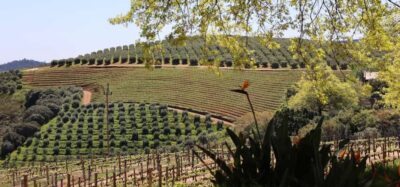 Table Mountain & Constantia Wine Estate Private Combo Tour - Bo-Kaap Photo Stop: Color Before the Heights