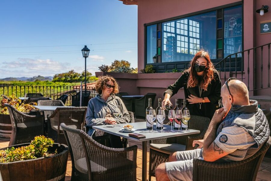Tacoronte: Guided Winery Tour with Wine and Cheese Tastings - Pairing tips you can use immediately back home