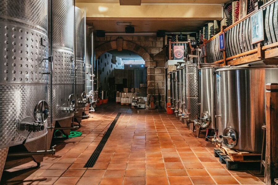 Tacoronte: Guided Winery Tour with Wine and Cheese Tastings - The pace and setting: 2 hours with a lot of payoff