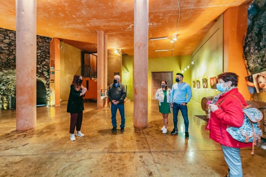 Tacoronte: Guided Winery Tour with Wine and Cheese Tastings - Who this tour suits best (and who might want more)