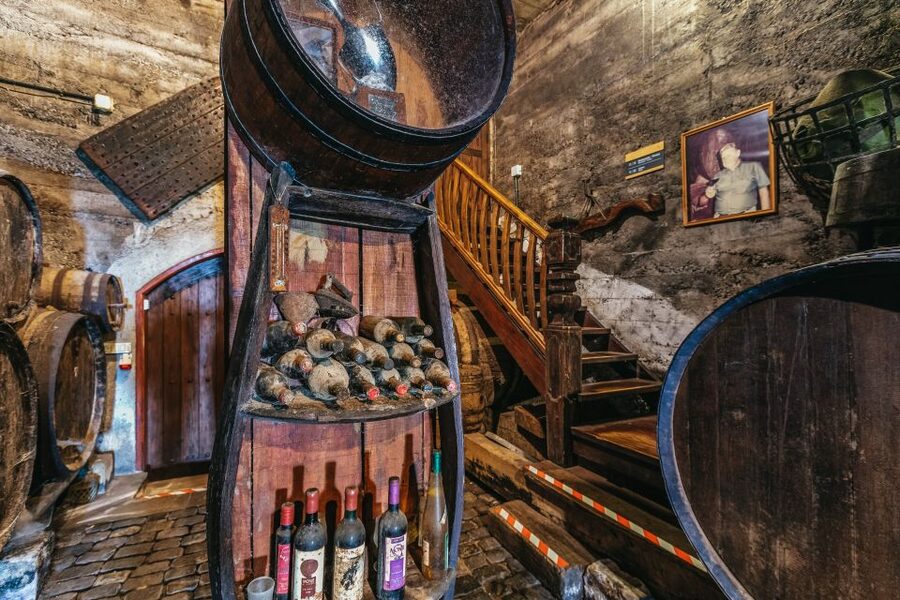 Tacoronte: Guided Winery Tour with Wine and Cheese Tastings - Want to make it smoother? Planning your day in Tenerife