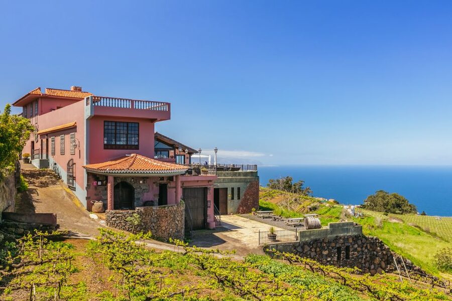 Tacoronte: Guided Winery Tour with Wine and Cheese Tastings - Canarian wine and volcanic soil: the lesson that makes the tasting click