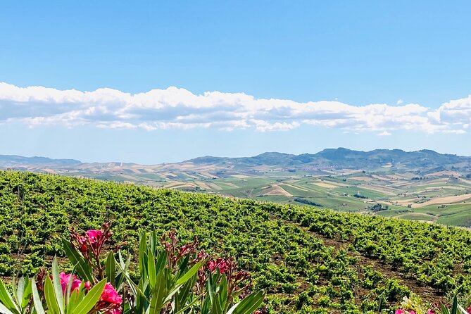 Tastes of the Weekend: Friday Sunset and Saturday Lunch - Timing, Group Size, and What to Bring for a Smooth Visit