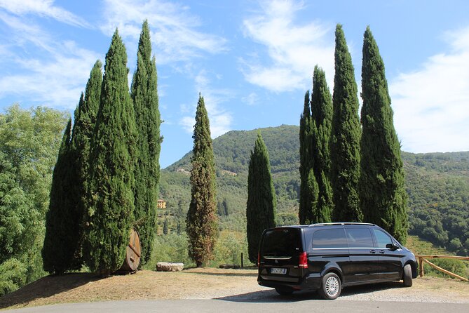 Tasting in a Tuscan Vineyard with transfer from Lucca - Key things I’d highlight before you go