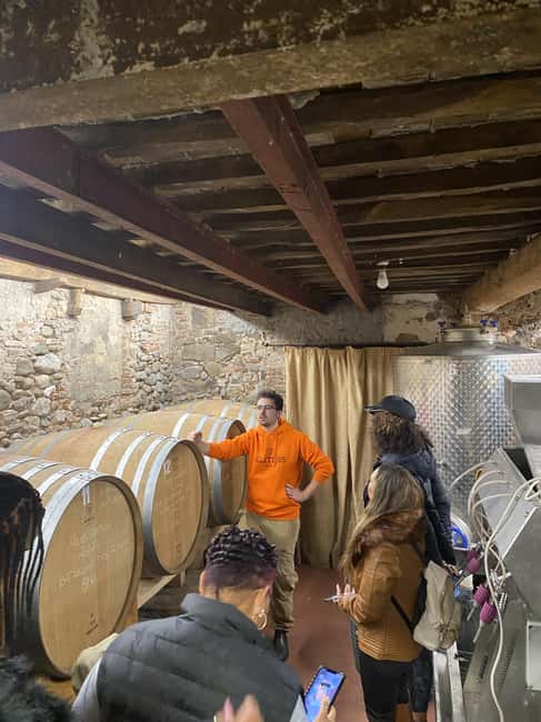 Tasting in a Tuscan Vineyard with transfer from Lucca - Price and Value: What $105 Buys You (and Why It Can Be Fair)