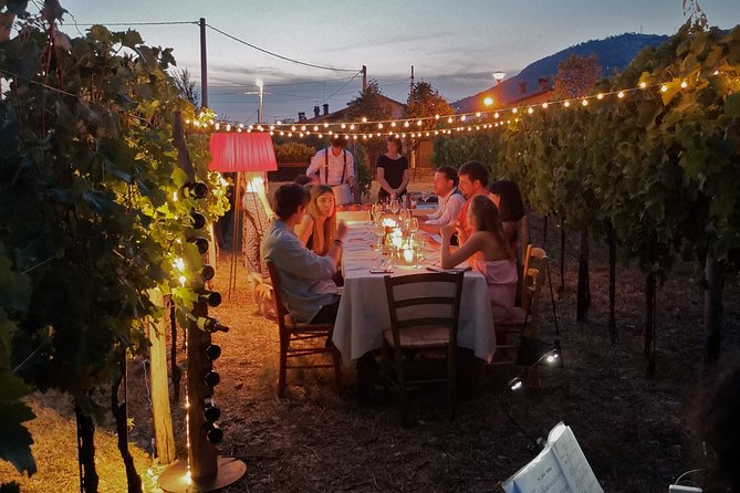 Tasting in a Tuscan Vineyard with transfer from Lucca - Vineyard time: walking the vines and learning how small production works