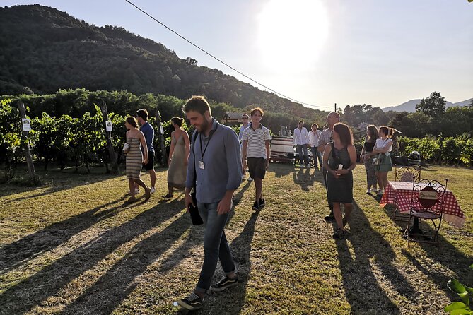 Tasting in a Tuscan Vineyard with transfer from Lucca - The tasting: what you’ll drink and what you’ll eat