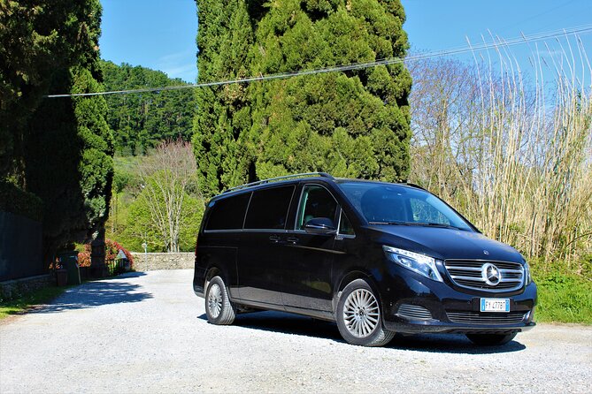 Tasting in a Tuscan Vineyard with transfer from Lucca - Price and value: does $107.63 make sense?