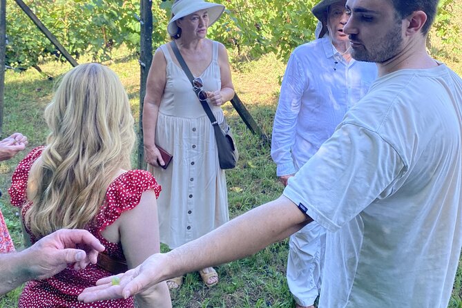 Tasting in a Tuscan Vineyard with transfer from Pisa - Key highlights worth your time