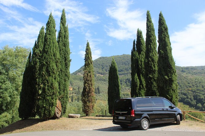 Tasting in a Tuscan Vineyard with transfer from Pisa - Porta a Lucca meet-up and the Pisa-to-vineyard van ride