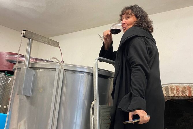 Tasting in a Tuscan Vineyard with transfer from Pisa - Inside the cellar: farmers’ stories with real process