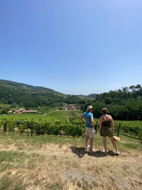 Tasting in a Tuscan Vineyard with transfer from Pisa - A quick note on accessibility and languages