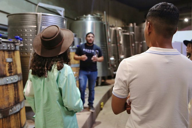 Tasting of 5 wines and tour at the winery Rondo del Valle - Key points at a glance