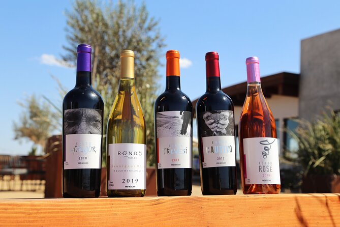 Tasting of 5 wines and tour at the winery Rondo del Valle - The 5-wine tasting: what you actually get (and why the mix matters)