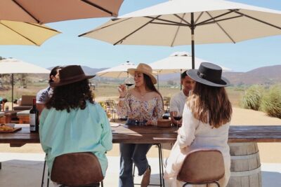 Tasting of 5 wines and tour at the winery Rondo del Valle - The winery tour and underground cellar production talk