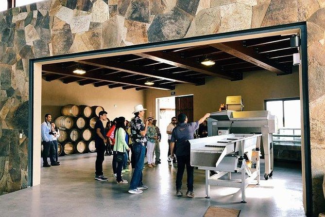 Tasting of 5 wines and tour at the winery Rondo del Valle - Weather matters, because this is still a real-world visit