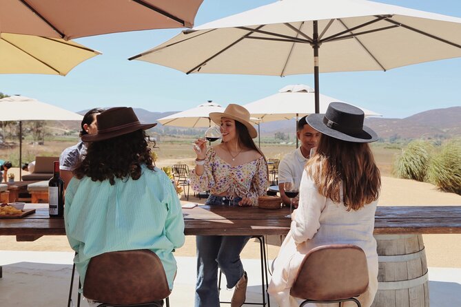 Tasting of 5 wines and tour at the winery Rondo del Valle - The winery tour and underground cellar production talk
