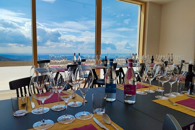 Tasting of Organic Mountain Wines with Vineyard and Cellar Tour - Where “Organic Mountain Wine” Becomes Real