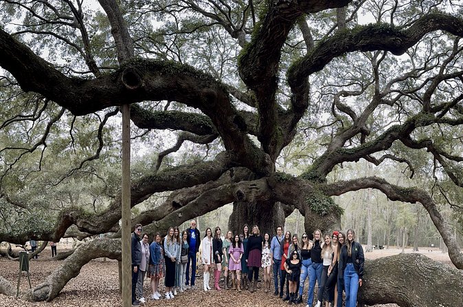 Tea Plantation and Winery Tour in Charleston - Weather and timing: what to watch for before you go