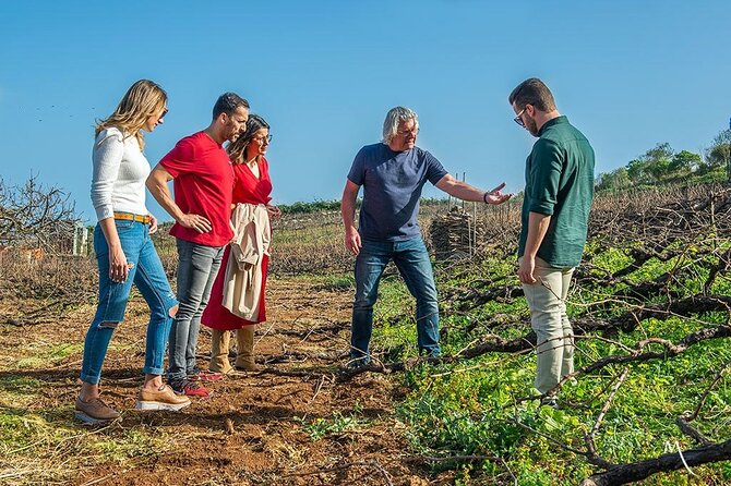 Tenerife Bodegas Monje Winery Tour with Wine and Cheese Tasting - The Tasting Space: Terrace Views vs. Indoor Comfort