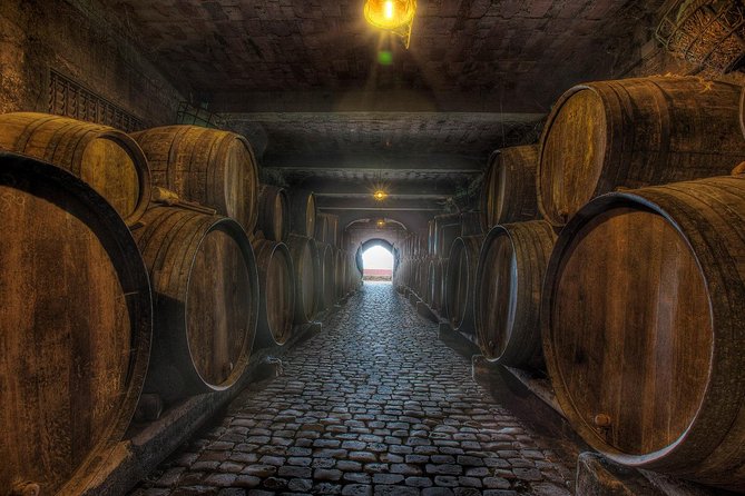 Tenerife Gastronomy Tour with Two Winery Visits and 4-Course Lunch - Price and value: what $98.52 gets you