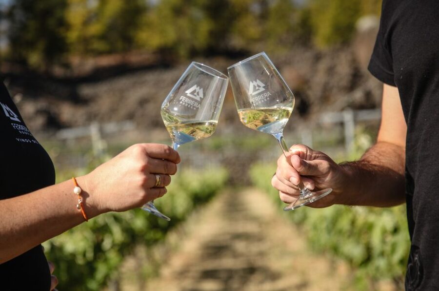 Tenerife: Tour of an Organic Vineyard with Tasting & Snacks - Canarian Tapas and Croquettes: The Food That Makes the Wines Make Sense