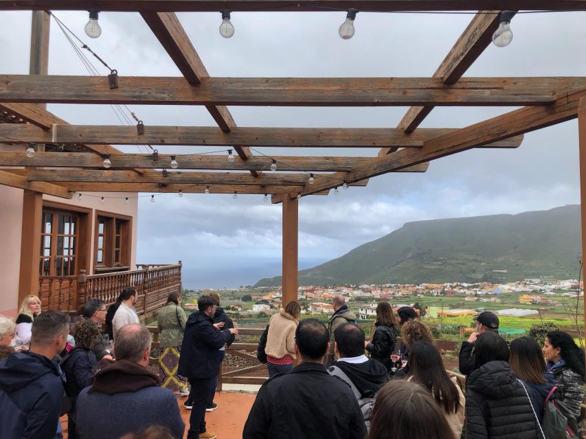 Tenerife Wine: Guided Tour & Tasting with Canarian bites - Price and Value: Is $25 Worth It?