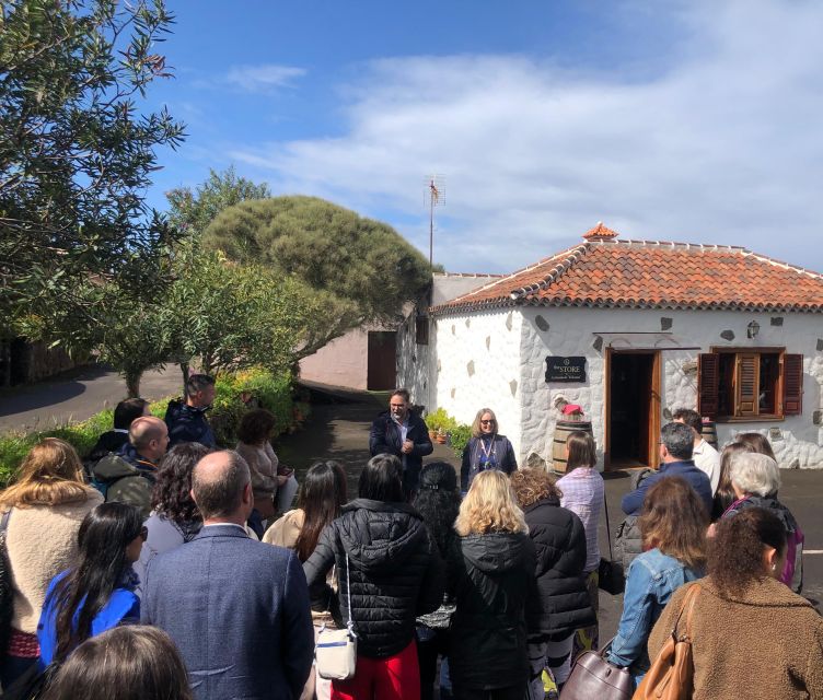 Tenerife Wine: Guided Tour & Tasting with Canarian bites - Vineyards and Varietal Garden: Hundred-Year Vines and Grape Variety Lessons