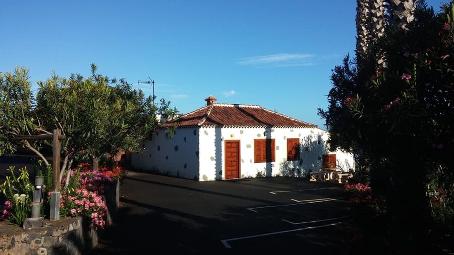 Tenerife Wine: Guided Tour & Tasting with Canarian bites - Canarian Wine Tasting with Tenerife Bites: What You’ll Actually Eat