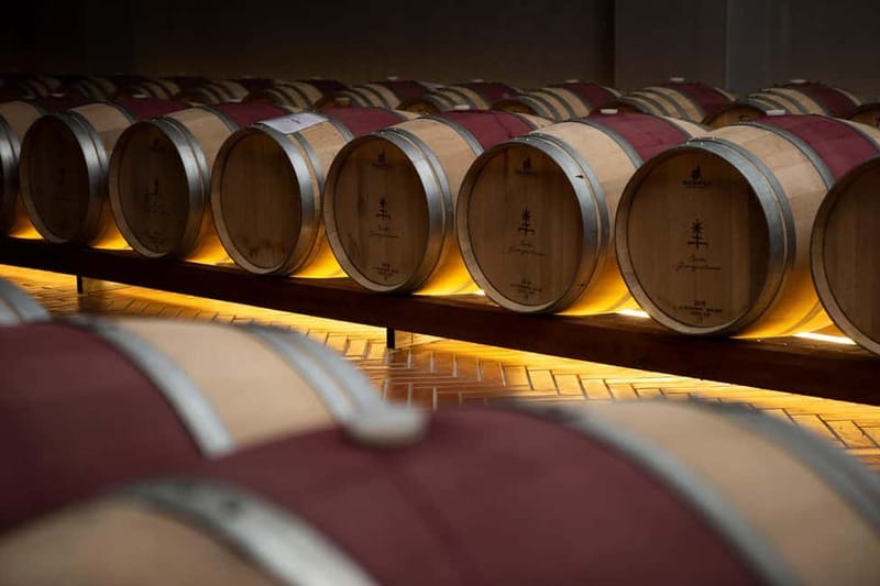 Tenute Girolamo: Winery tour and Classic tasting in the Itria Valley - Languages and how to choose the right time slot
