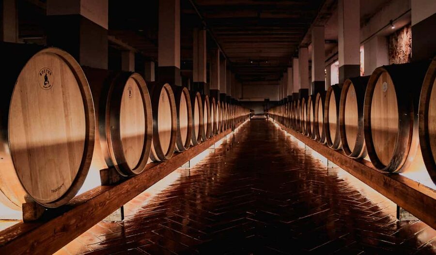 Tenute Girolamo: Winery tour and Premium Tasting in the Itria Valley - Barrel Cellar and Aging: The Link Between Smell, Taste, and Time