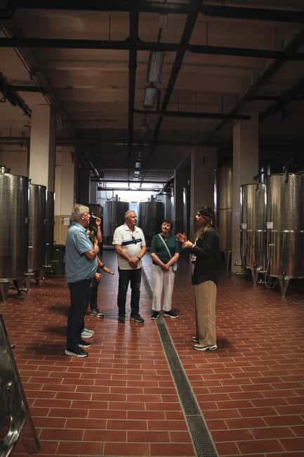Tenute Girolamo: Winery tour and Premium Tasting in the Itria Valley - Location and Timing: Martina Franca and a Clean 2-Hour Block
