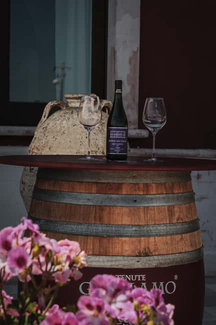 Tenute Girolamo: Winery tour and Premium Tasting in the Itria Valley - Price and Value: What $30–$35 Buys You Here