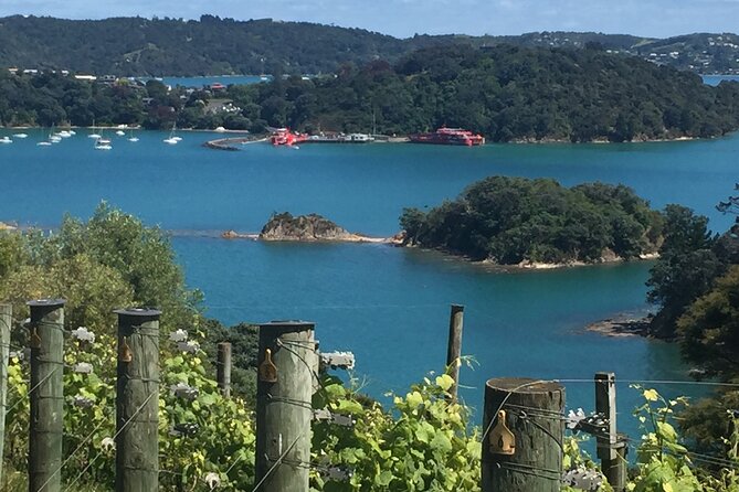 The Boutique Experience: Waiheke Best Cellar Tour (11 guests max) - Key things that make this tour work