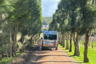 The Boutique Experience: Waiheke Best Cellar Tour (11 guests max) - Three vineyards, 10–15 wines: what those tastings feel like