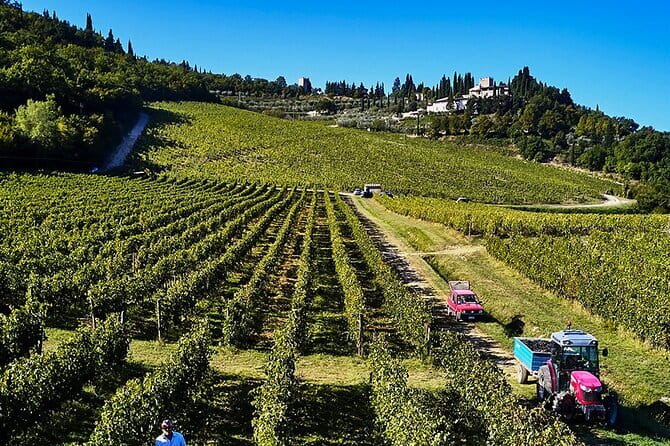 The Essence of Tuscany: Private Journey & Estate Winery Lunch - Montefioralle: medieval stone streets in about an hour