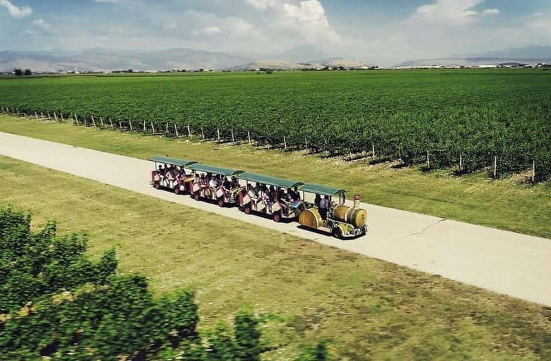 The largest winery in Montenegro: private tour & transport - The Šipčanik cellar tour: where the story becomes physical