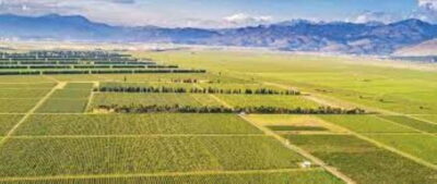 The largest winery in Montenegro: private tour & transport - Getting there the easy way: private pickup in Podgorica
