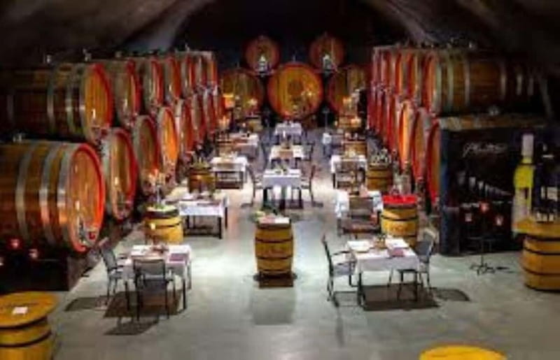 The largest winery in Montenegro: private tour & transport - Who should book this Plantaže private tour