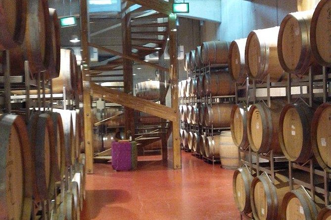 The Salt Mines, The Winery, The Muddy Volcanoes! The Fixers Private Tour - Why this private salt-mine, winery, muddy-volcano day works