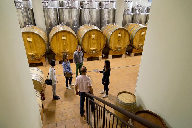 The Valpolicella food & wine driving tour: cheese factory+ winery - Driving Tour Pros and Practical Tradeoffs