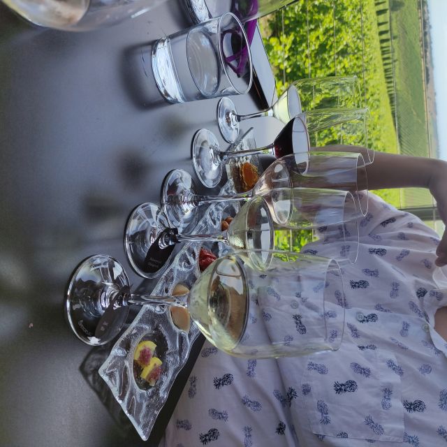 Thessaloniki: Winery Visit with Wine Tasting Experience - When the guide turns the day into a Thessaloniki win
