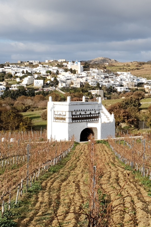 Tinos: Winery Tour and Wine Tasting Paired with Snacks - Vaptistis Winery in Steni: what makes it feel like Tinos wine, not a workshop